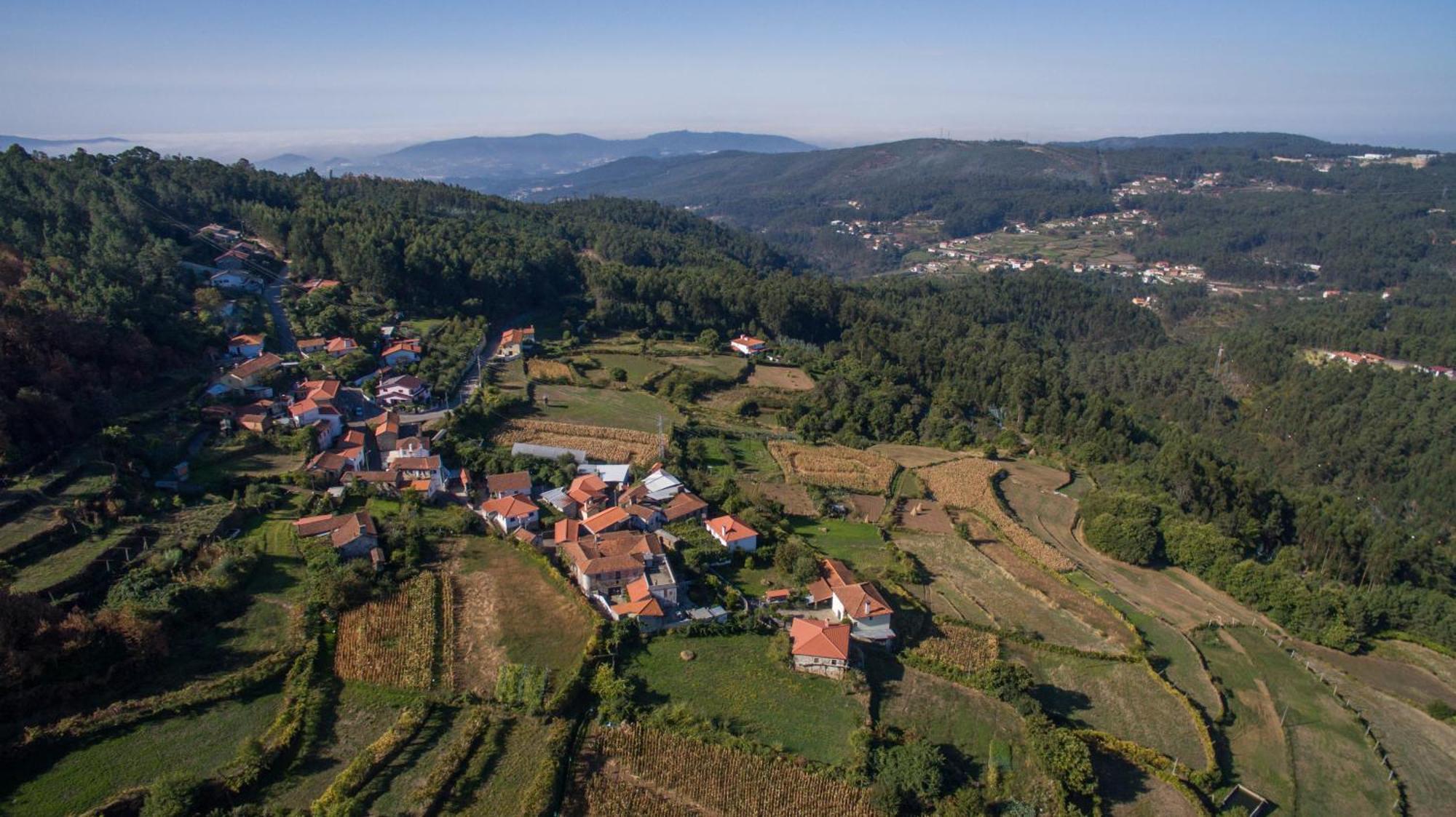 Cabanelas Country House - Casa Do Afonso Vale de Cambra Zewnętrze zdjęcie